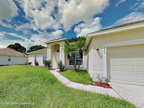 Photo of 675 Pampas Street NW, Palm Bay, FL 32907 (MLS # 1064182)