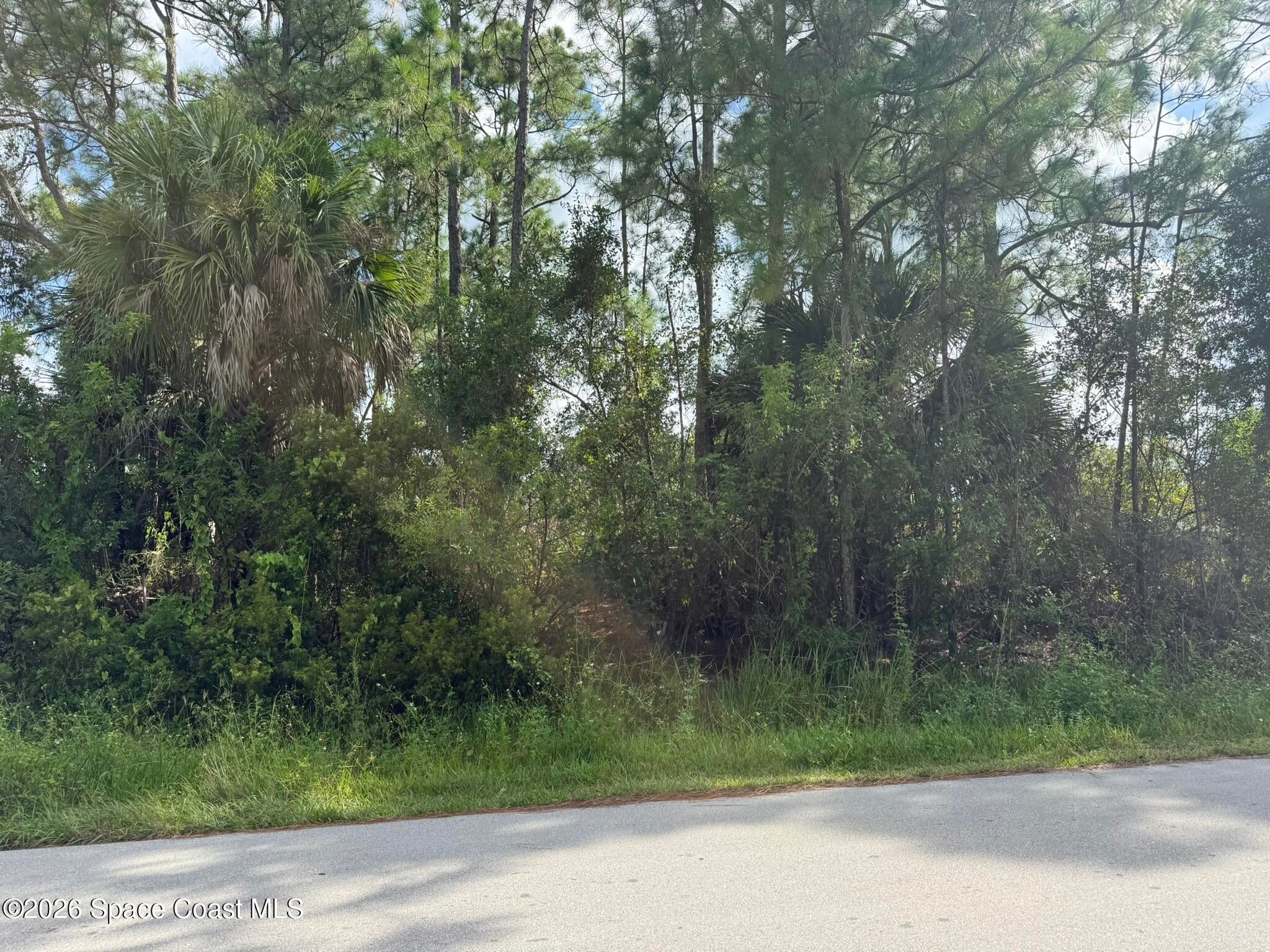 00 Sanford St / Trilby Rd Street SW
