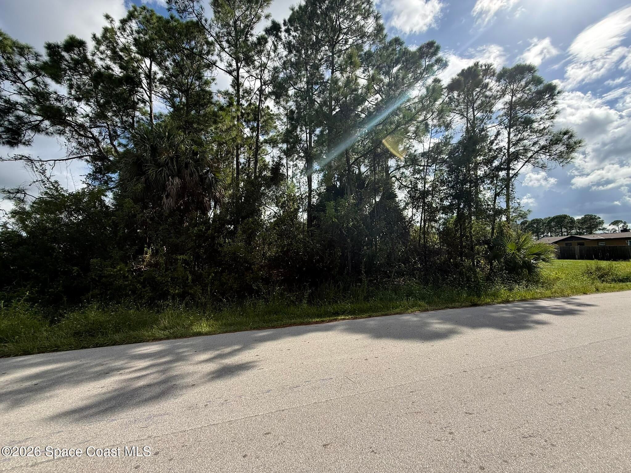 00 Sanford St / Trilby Rd Street SW