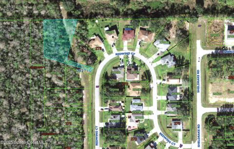 129 Redwing Court Poinciana FL 34759