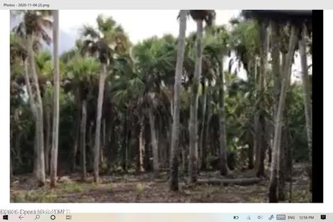 O00 E Unknown Merritt Island FL 32953