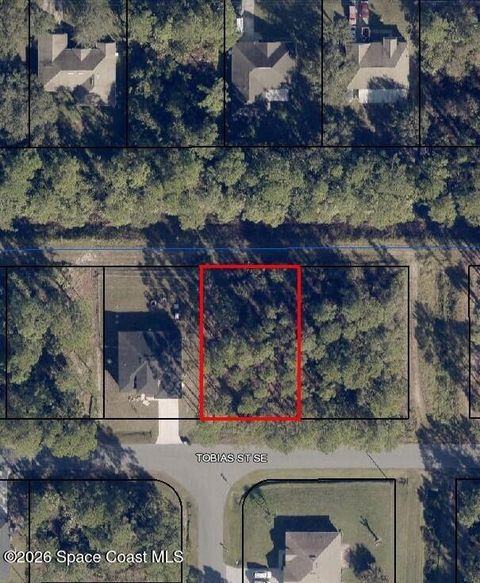 491 Tobias Street SE Palm Bay FL 32909