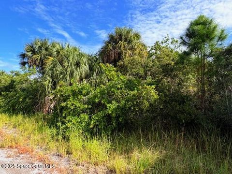 1921 Conkling Avenue Palm Bay FL 32908