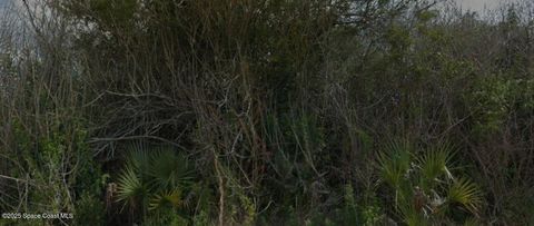 765 Pinta Terrace SW Palm Bay FL 32908