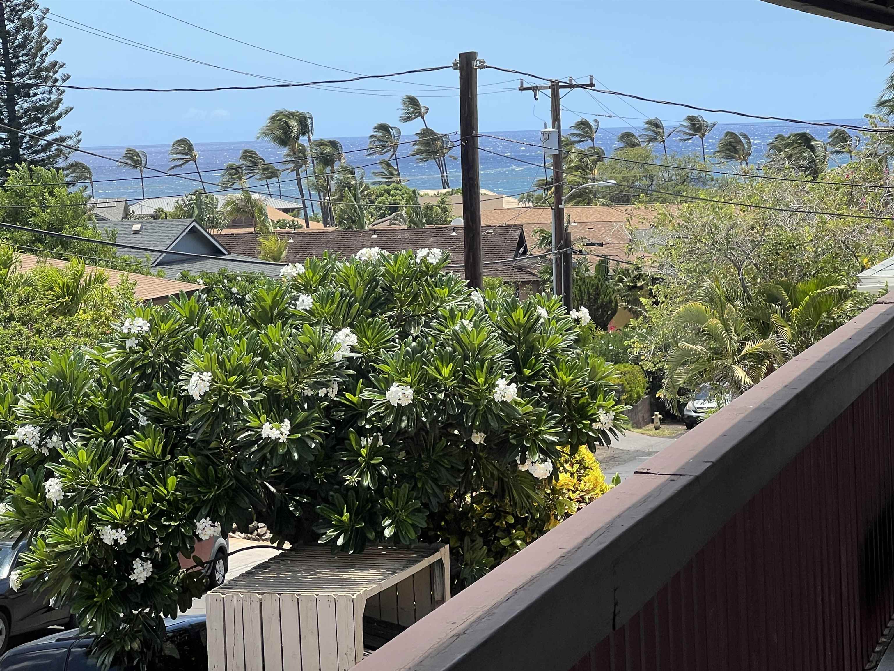 85 Walaka St 6