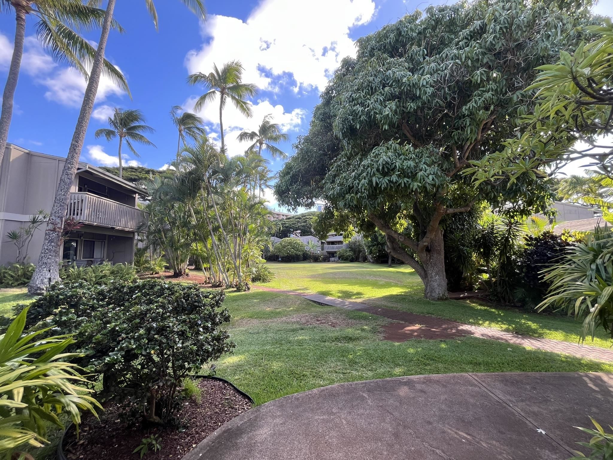 4440 Lower Honoapiilani Rd 225