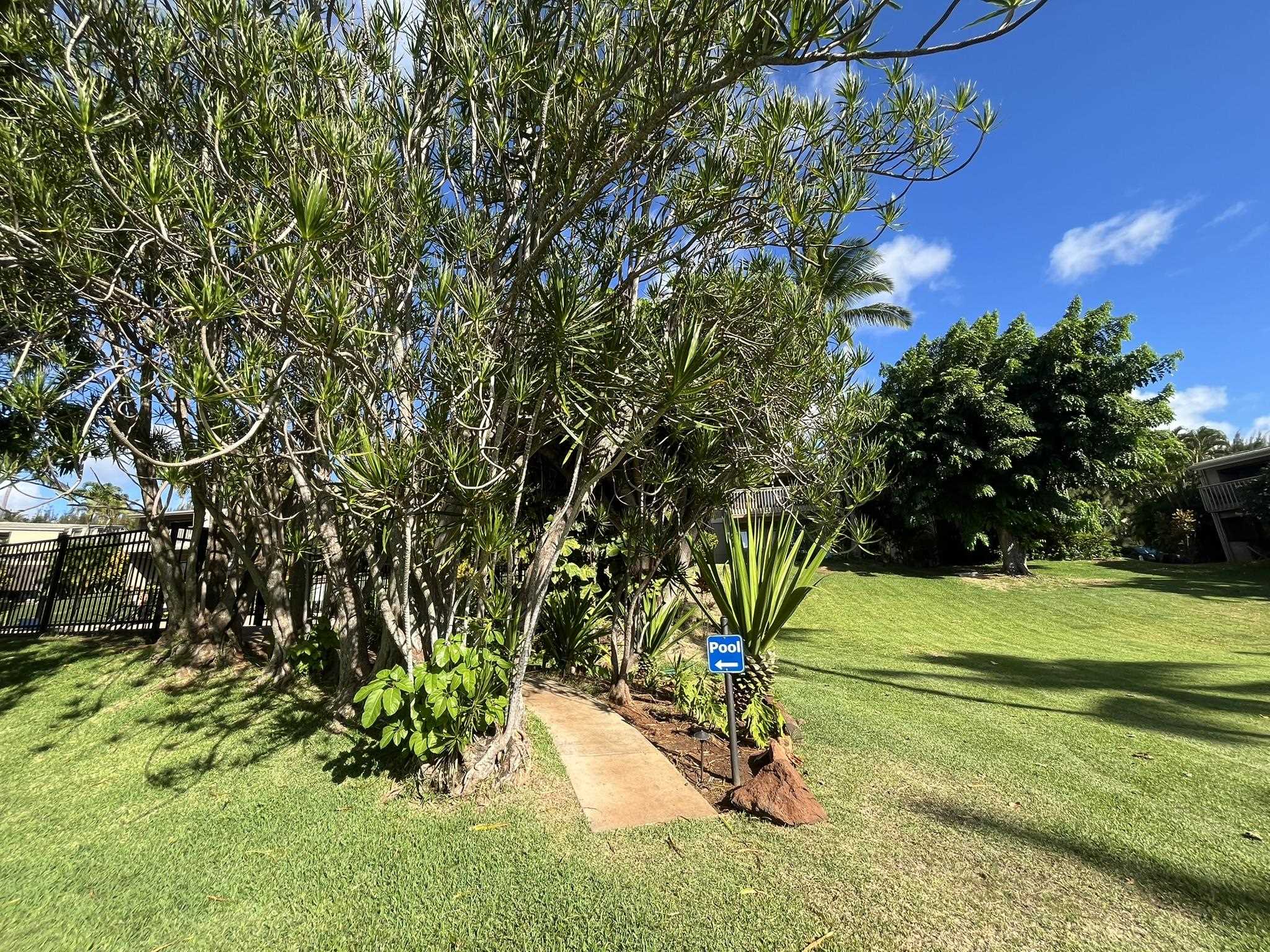 4440 Lower Honoapiilani Rd 225