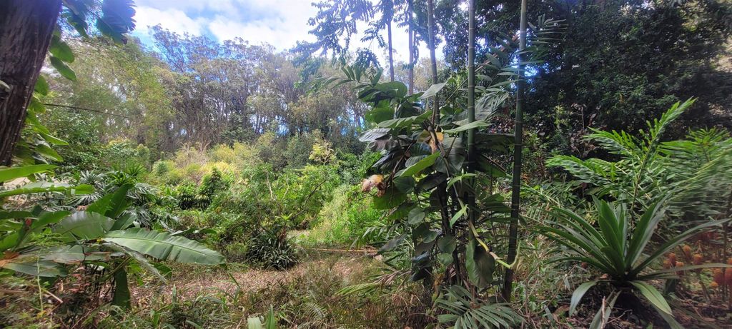 Photo of 1448 W Kuiaha St, Haiku, HI 96732 (MLS # 408007)