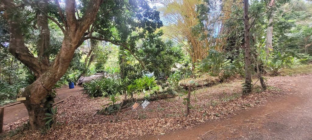 Photo of 1448 W Kuiaha St, Haiku, HI 96732 (MLS # 408007)