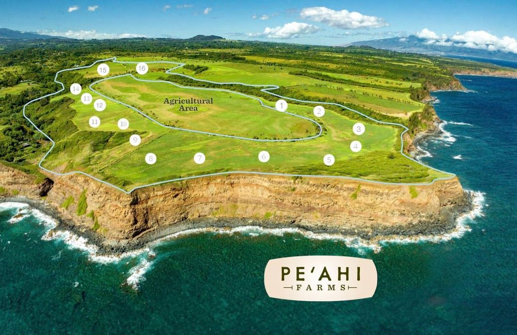 Photo of 744 Kai Huki Cir #Lot 9, Haiku, HI 96708 (MLS # 406354)