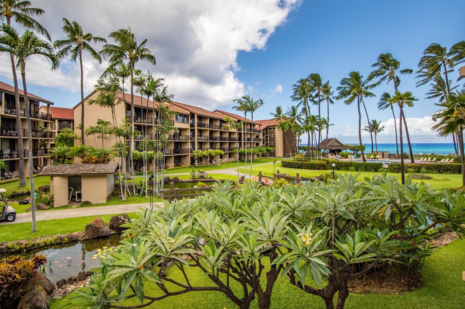 3543 Lower Honoapiilani Rd C-205
