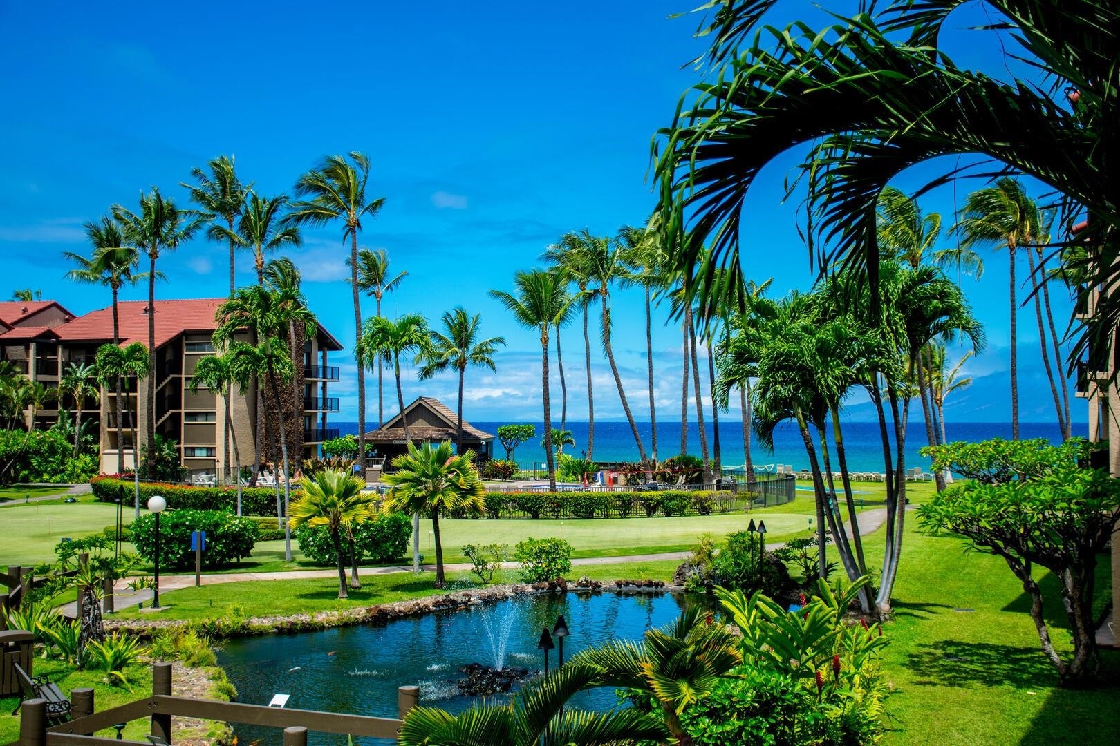 3543 Lower Honoapiilani Rd C-205