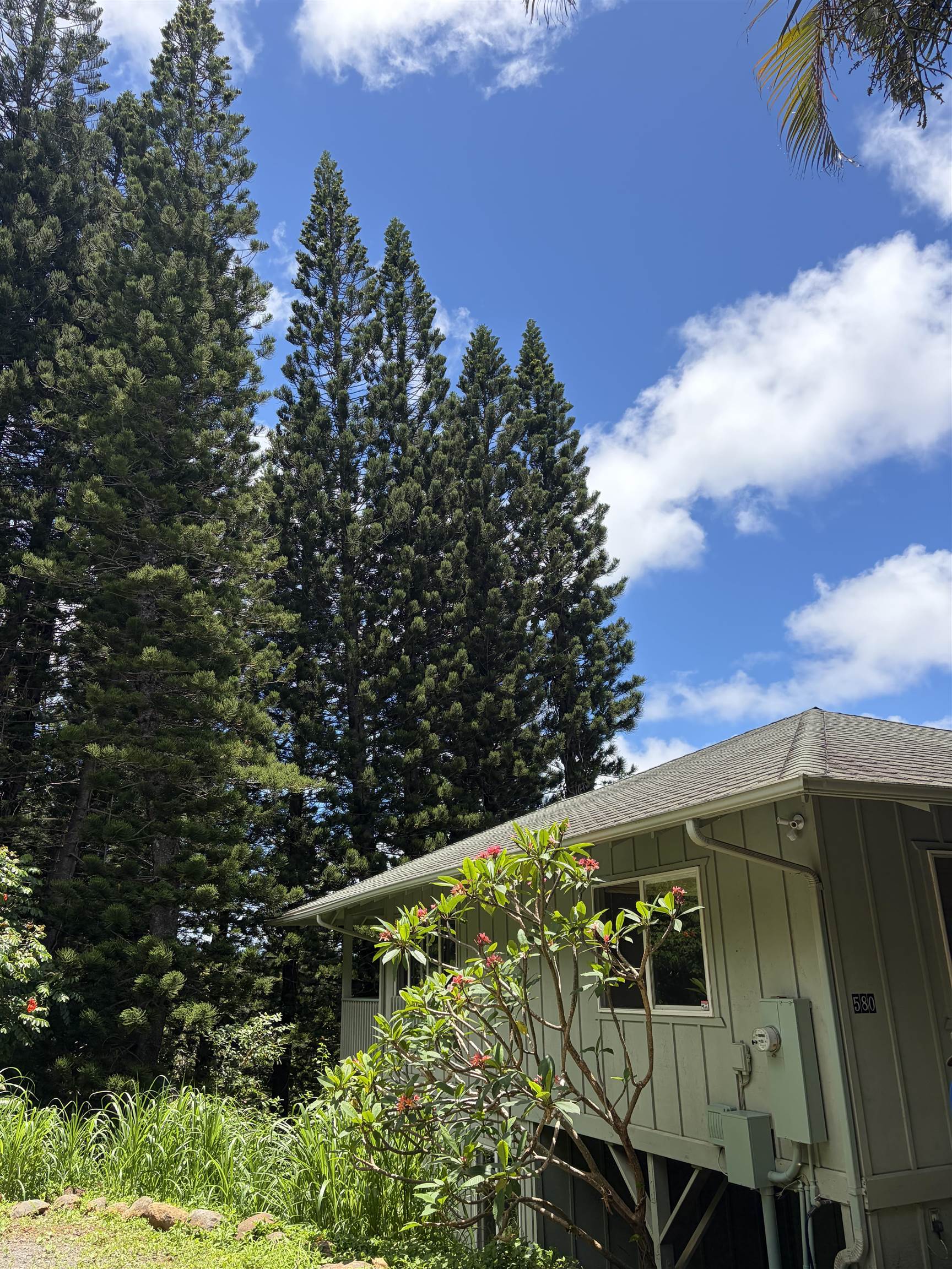 580 W Kuiaha Rd