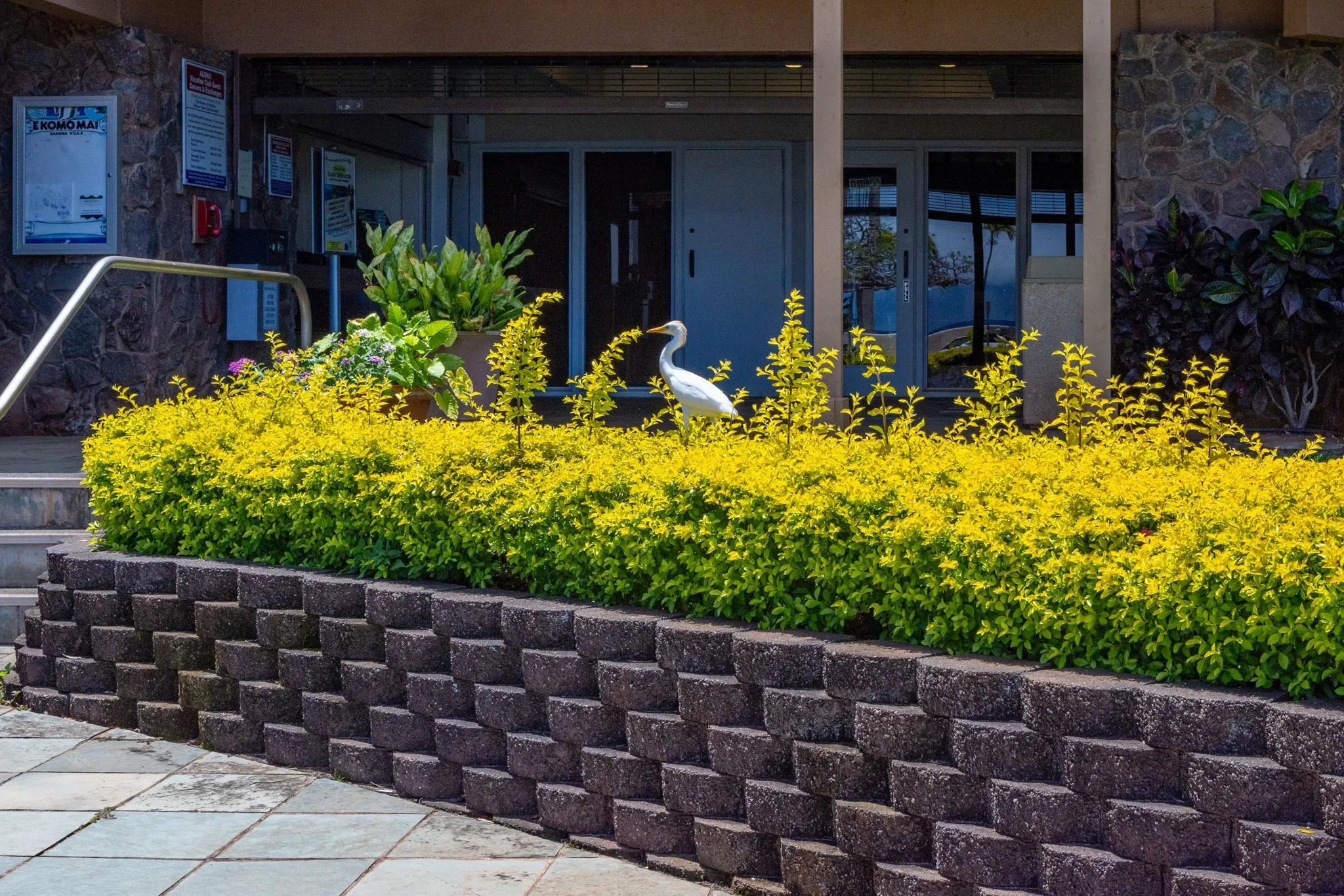 Lahaina, Hawaii 96761, United States, 2 Bedrooms Bedrooms, ,2 BathroomsBathrooms,Residential,Active,193631