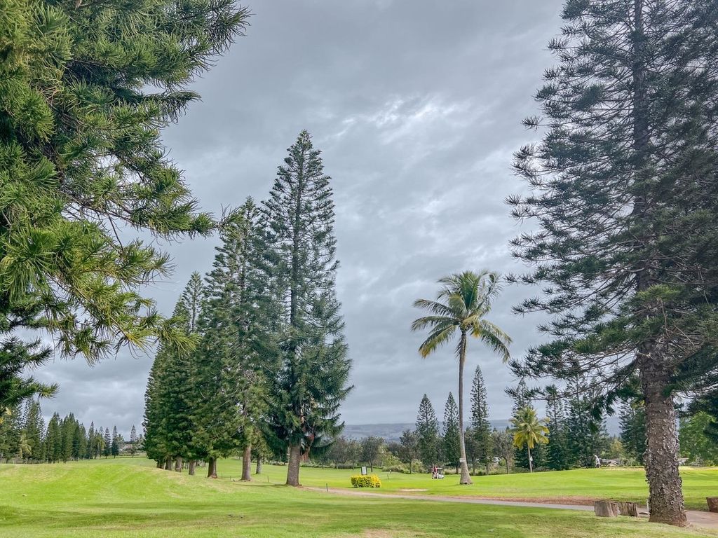 Photo of 2740 Liholani St #3, Makawao, HI 96768 (MLS # 406318)