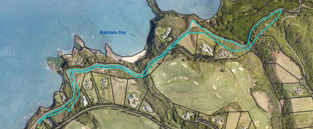 Photo of Honoapiilani Hwy, Lahaina, HI 96761 (MLS # 407241)