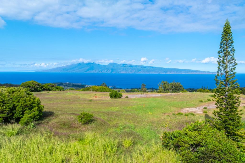 Photo of 242 Keoawa St #22, Lahaina, HI 96761 (MLS # 408075)
