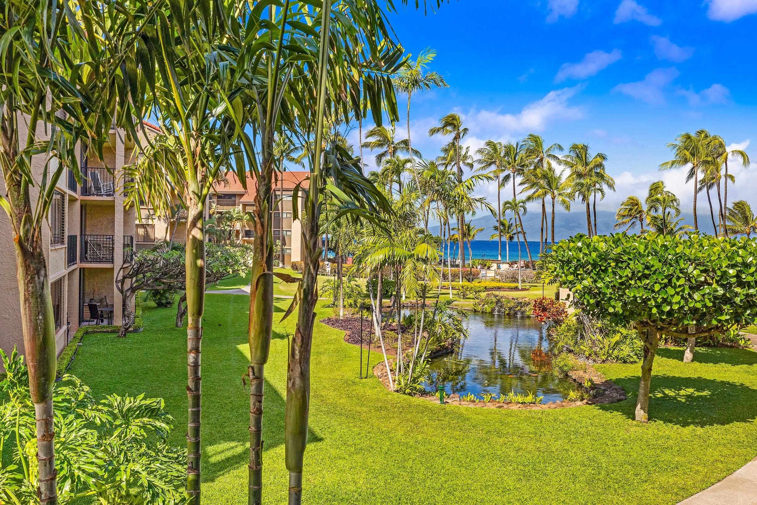 3543 Lower Honoapiilani Rd H201
