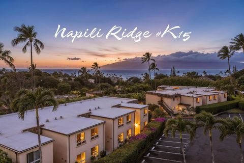 120 Hui F Rd K15 Lahaina HI 96761