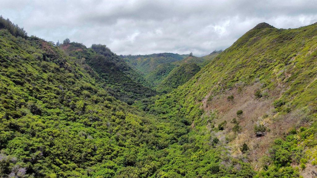 Photo of 0 Kahakuloa Rd, Wailuku, HI 96793 (MLS # 407247)