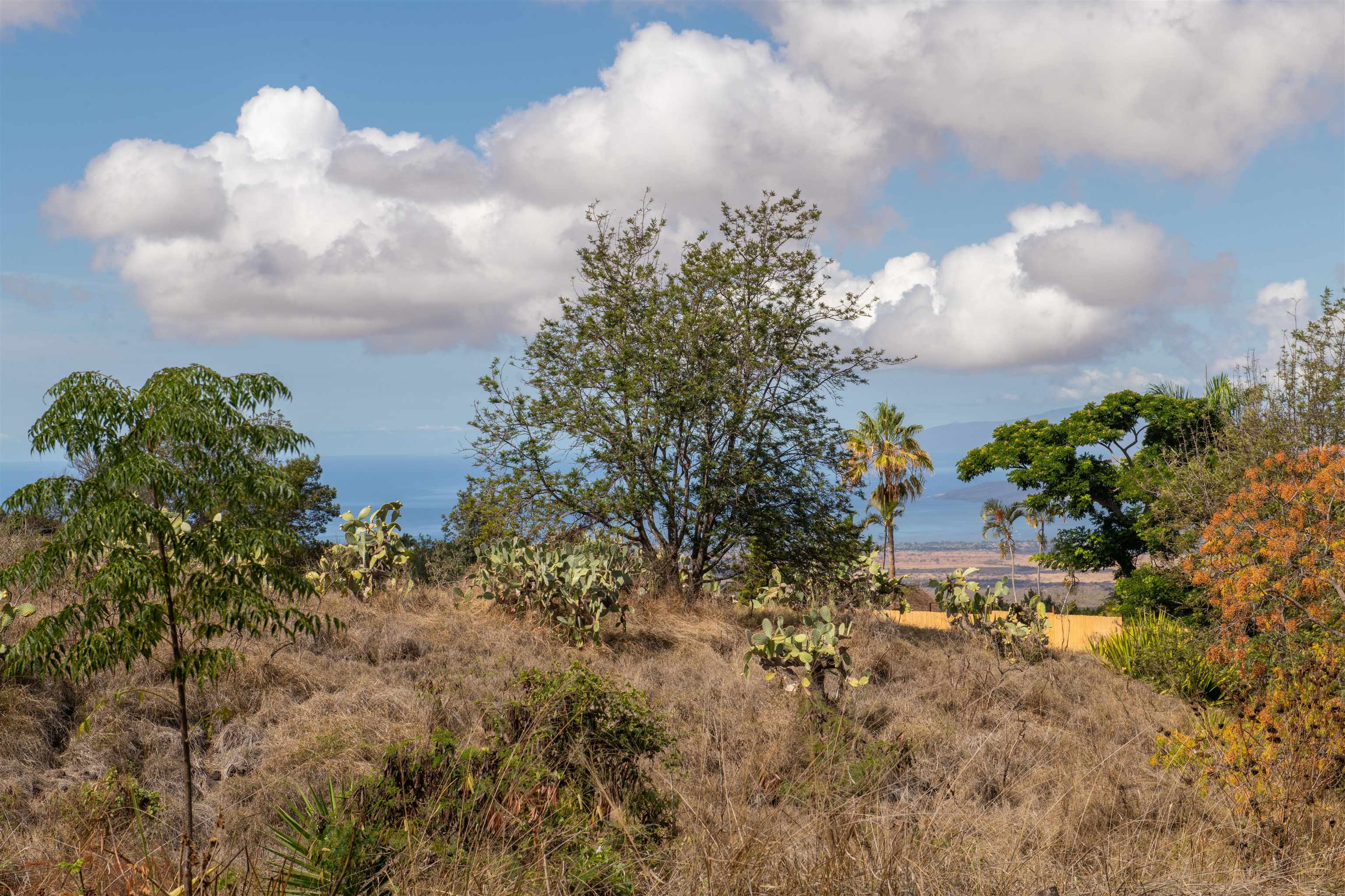 0 Holopuni Rd