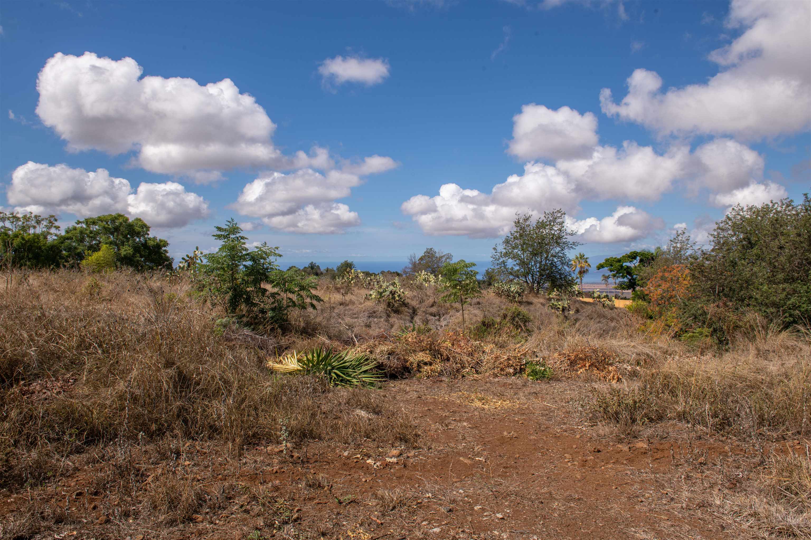 0 Holopuni Rd