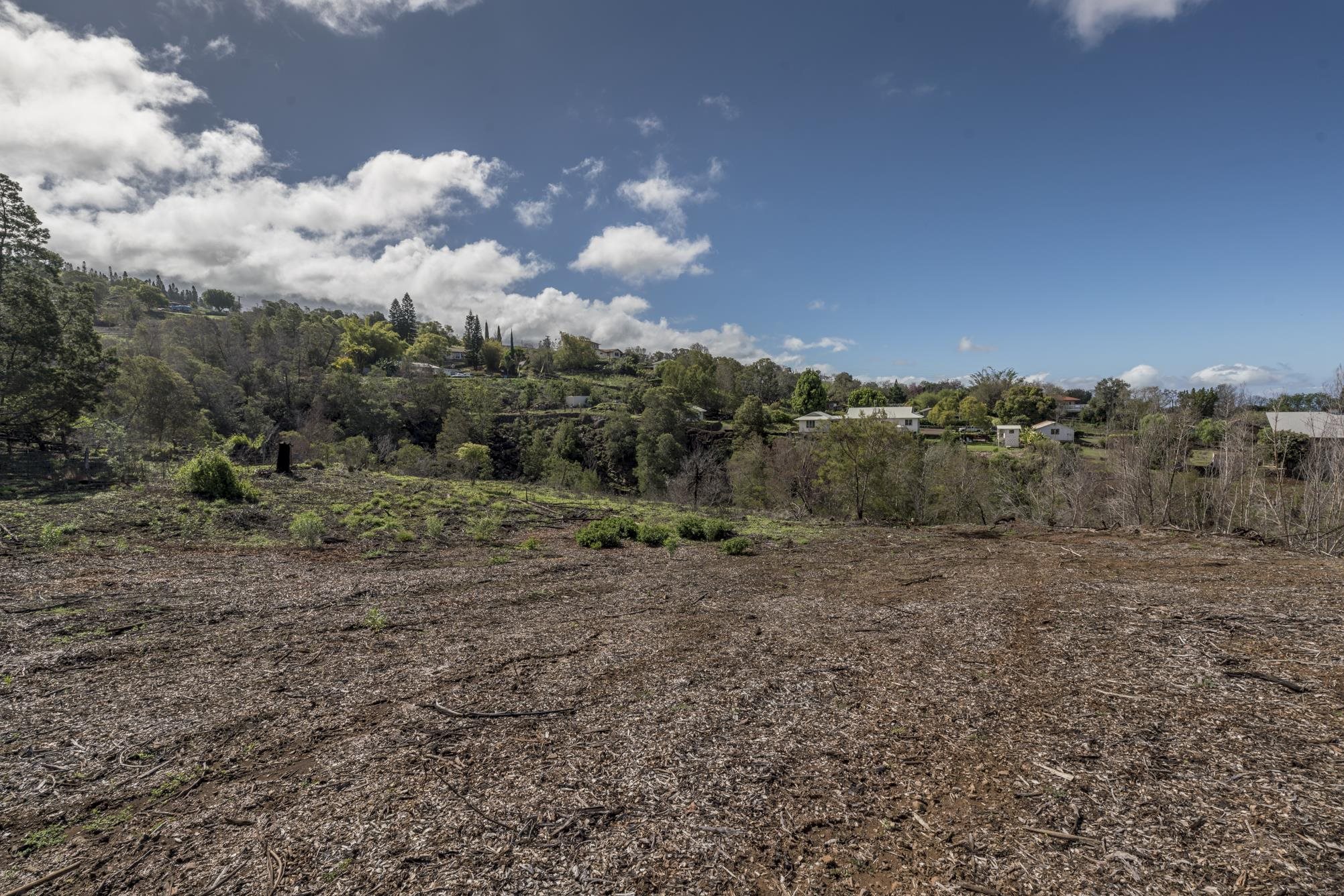 230 Pulehuiki Rd Unit A