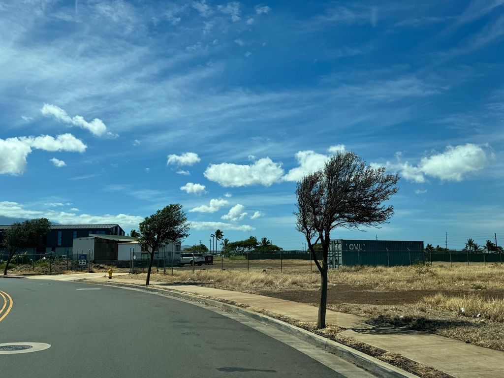 Photo of 118 Lauo Loop, Kahului, HI 96732 (MLS # 407150)