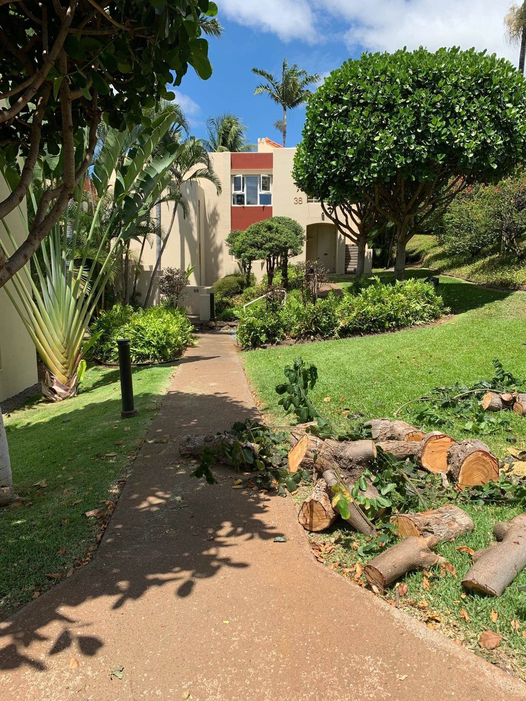 Photo of 3150 Wailea Alanui Dr #3805, Kihei, HI 96753 (MLS # 407822)