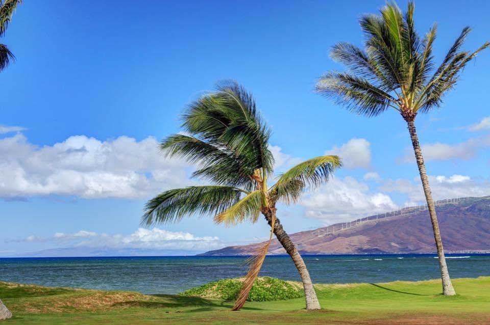1032 S Kihei Rd A410