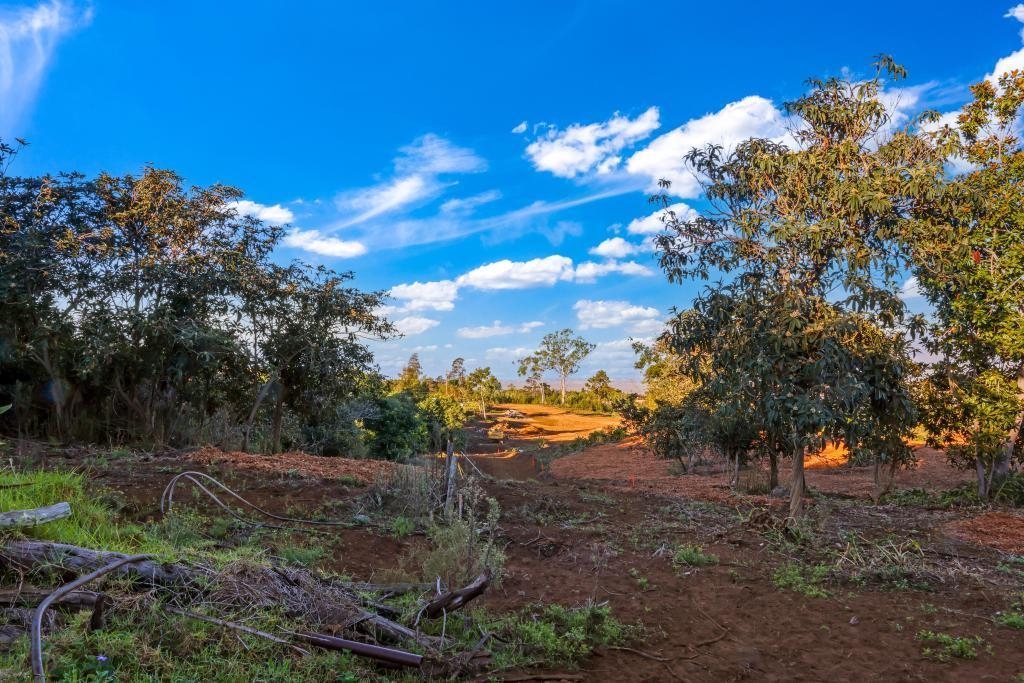 0 Haleakala Hwy Unit 6