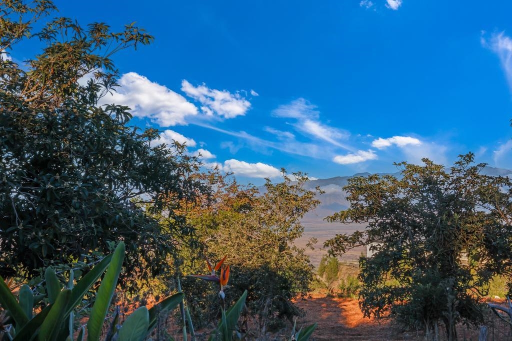 0 Haleakala Hwy Unit 6