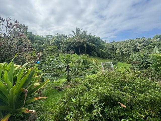 725 Nahiku Rd