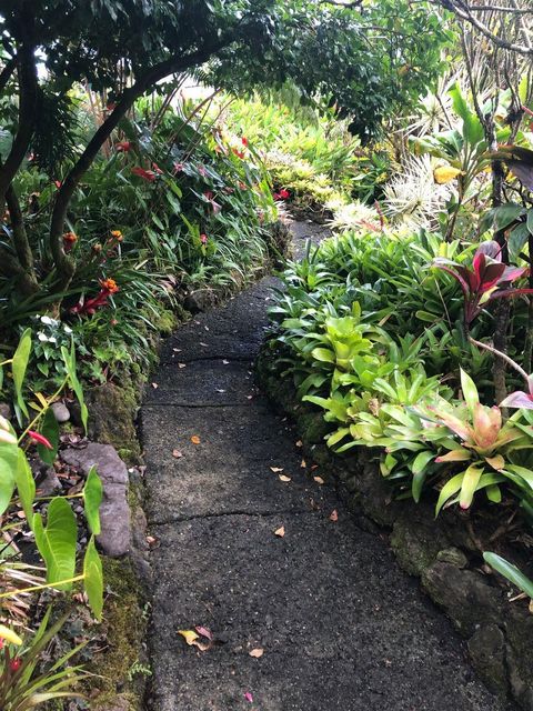 725 Nahiku Rd Hana HI 96713