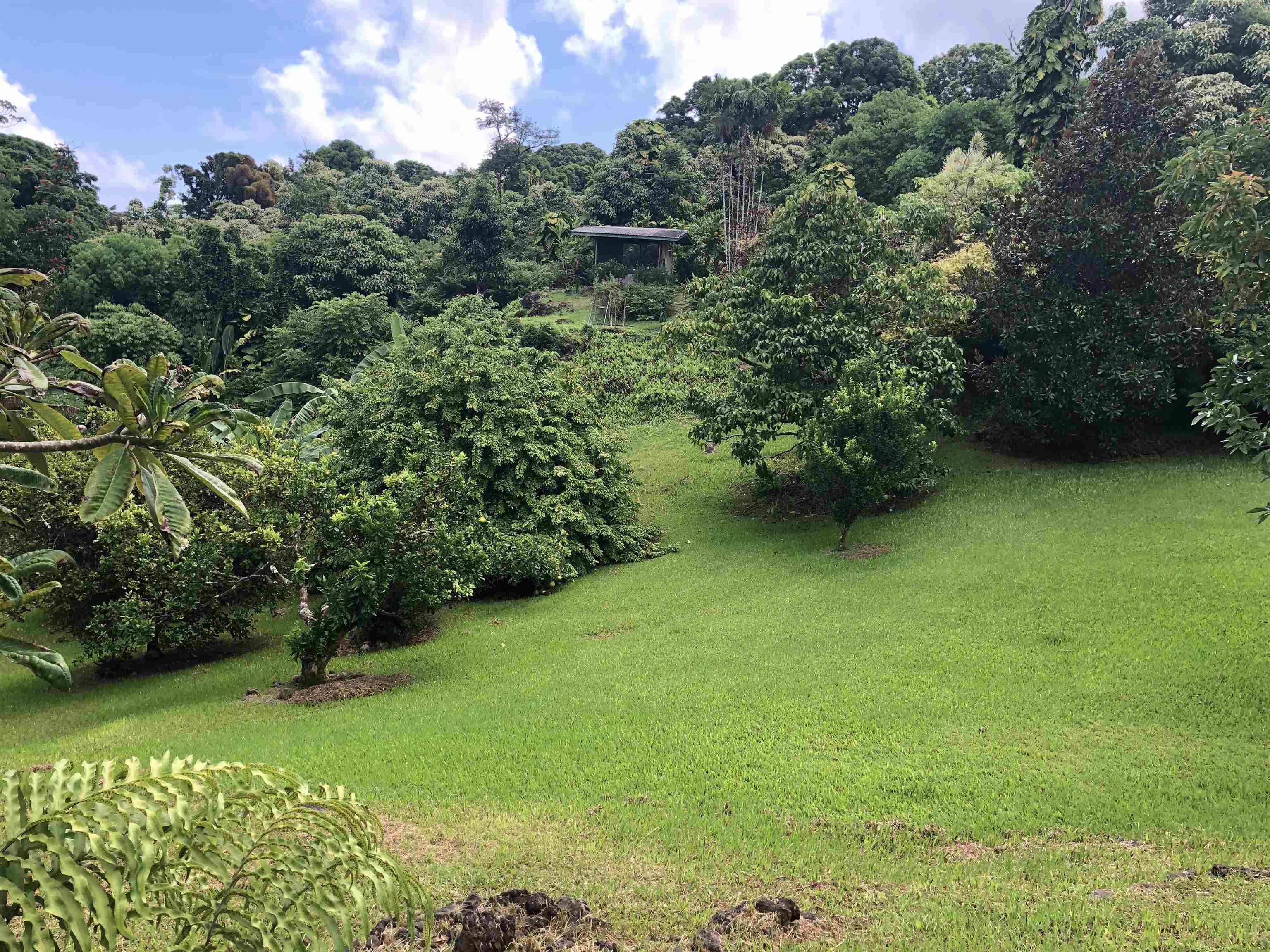 725 Nahiku Rd