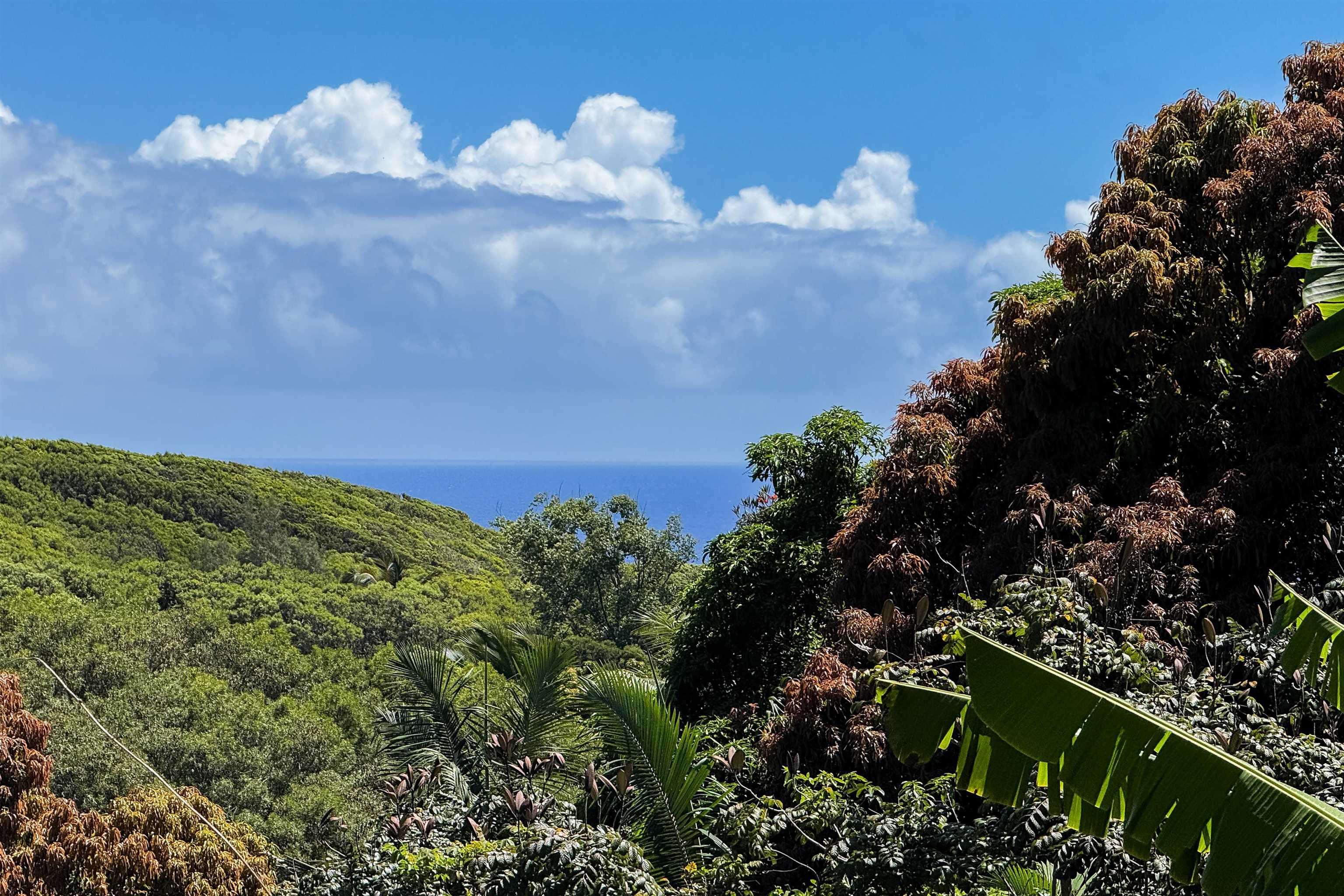 420 Haumana Rd