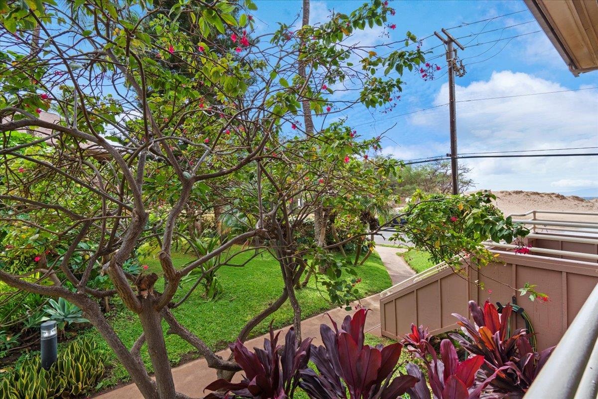 679 S Kihei Rd D111