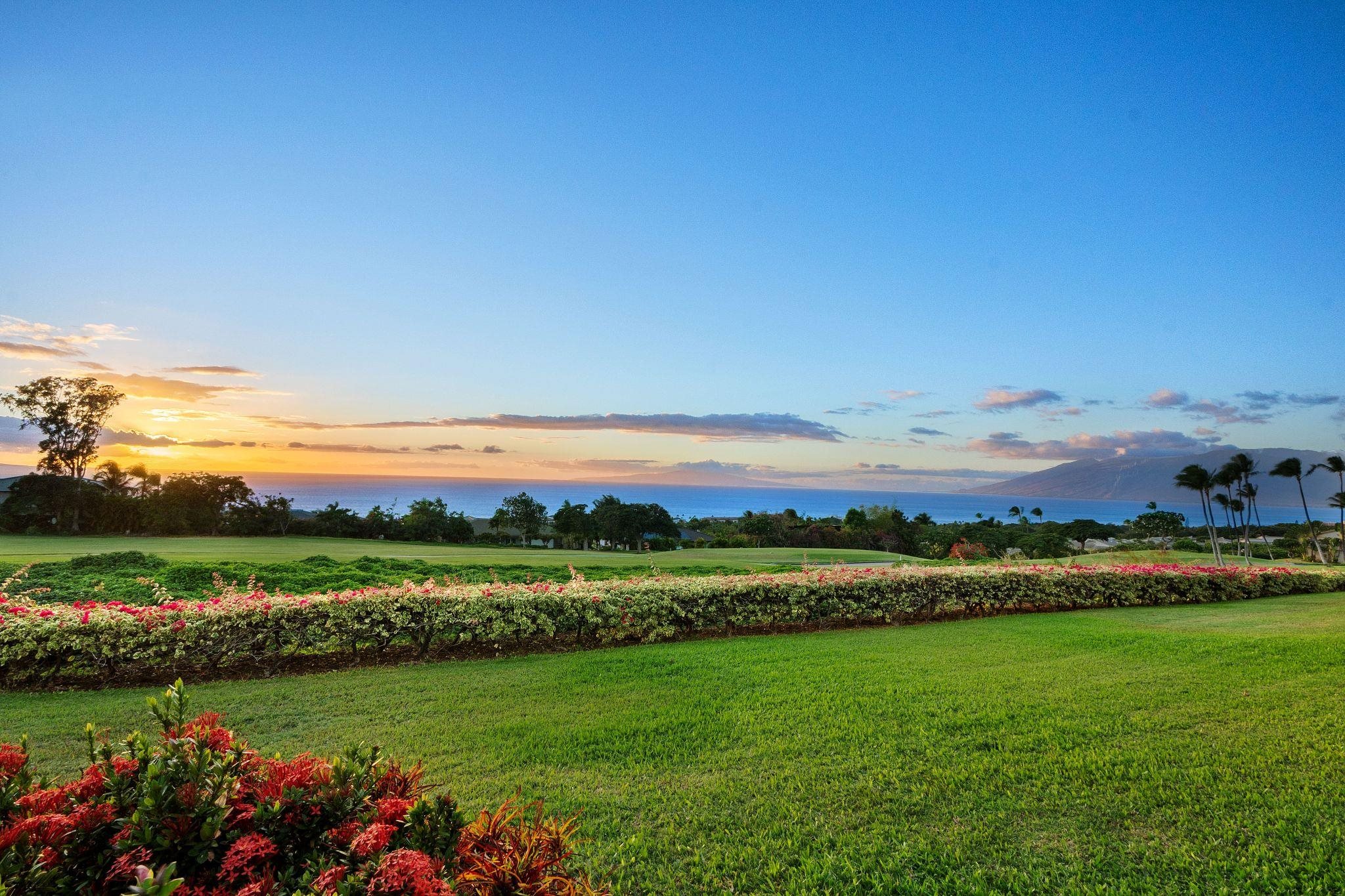 3950 Kalai Waa St E102