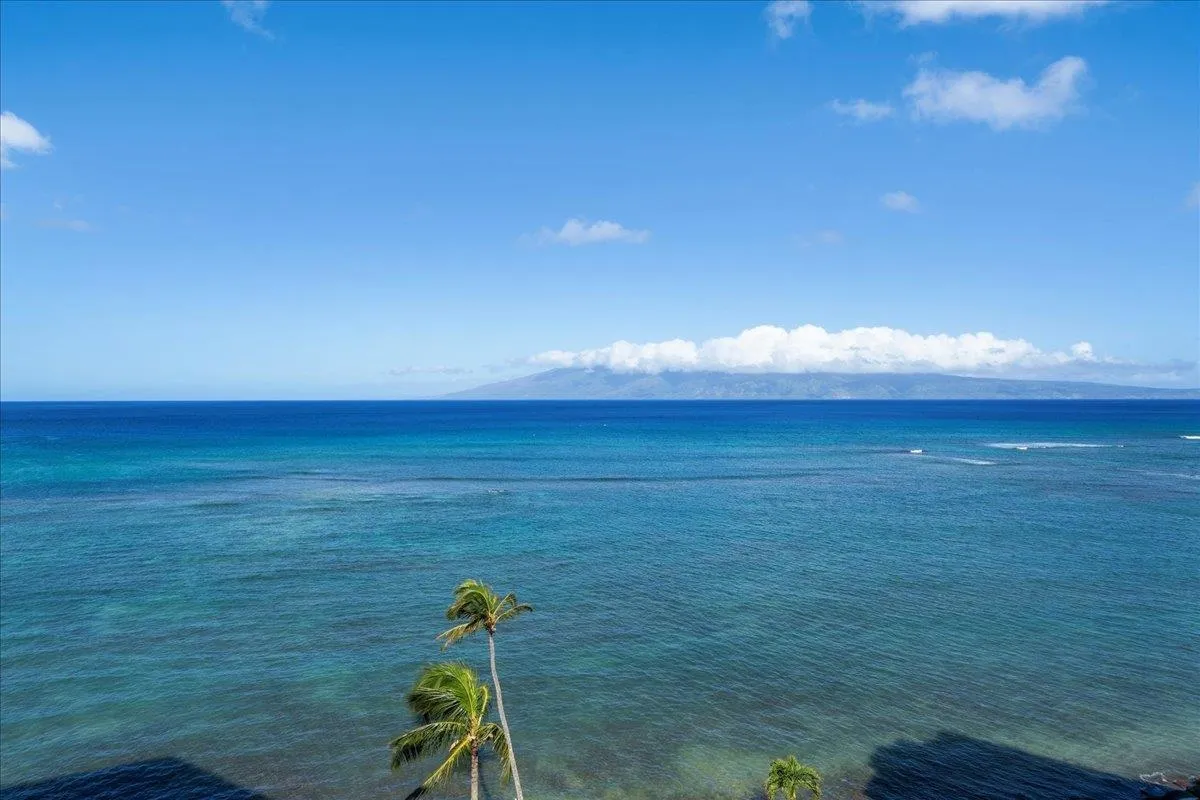 Lahaina, Hawaii 96761, United States, 1 Bedroom Bedrooms, ,1 BathroomBathrooms,Residential,Active,256444