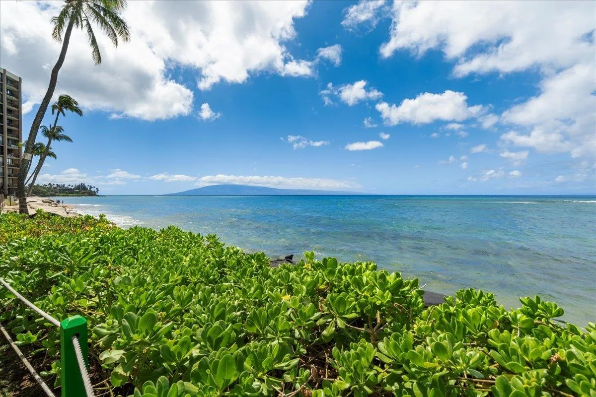 Lahaina, Hawaii 96761, United States, 1 Bedroom Bedrooms, ,1 BathroomBathrooms,Residential,Active,256444