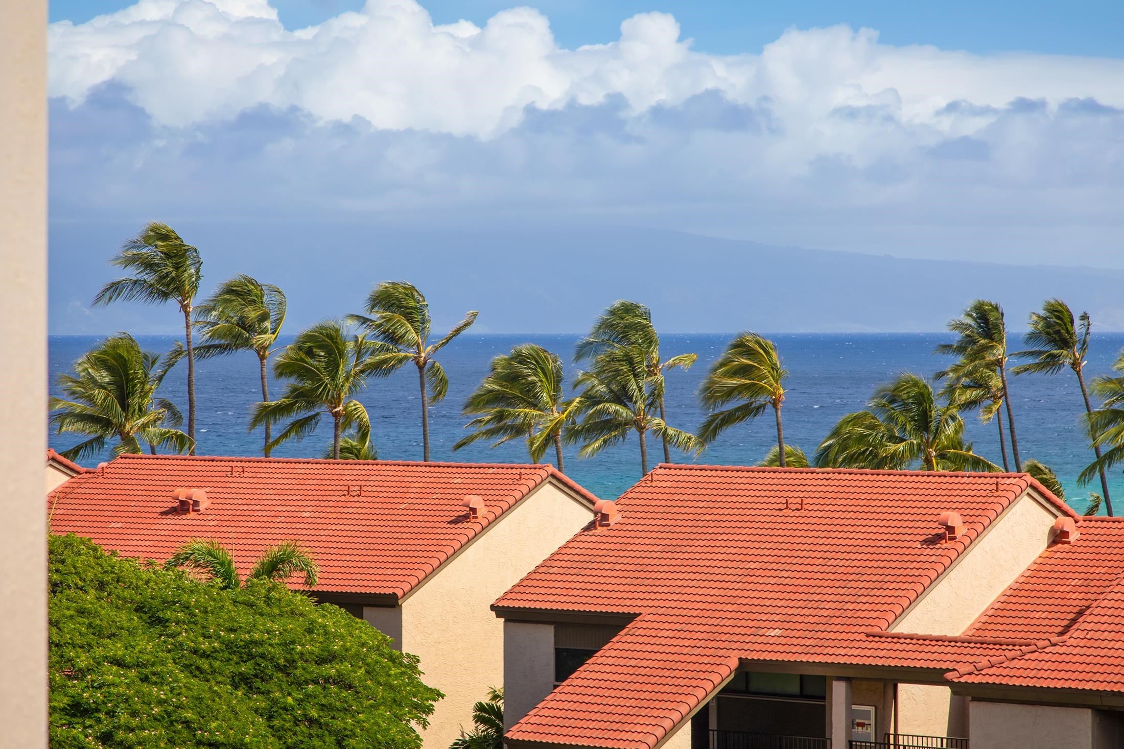 3445 Lower Honoapiilani Rd 732