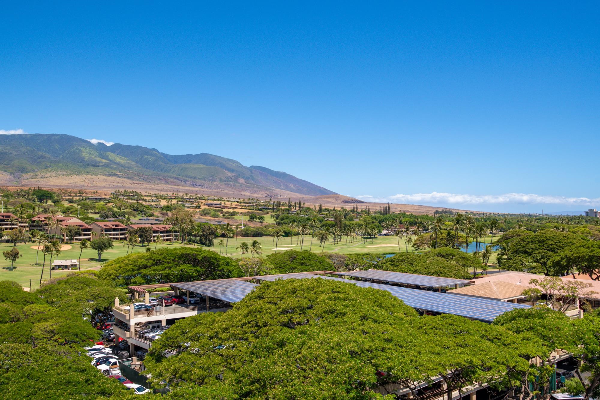 2481 Kaanapali Pkwy 821/823
