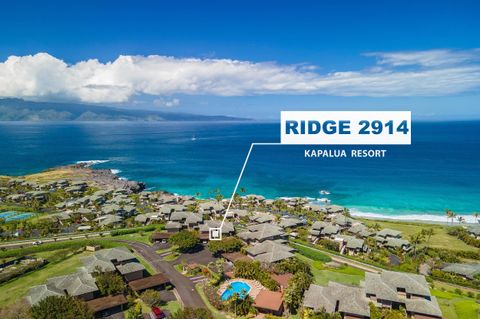 100 Ridge Rd 2914 Lahaina HI 96761