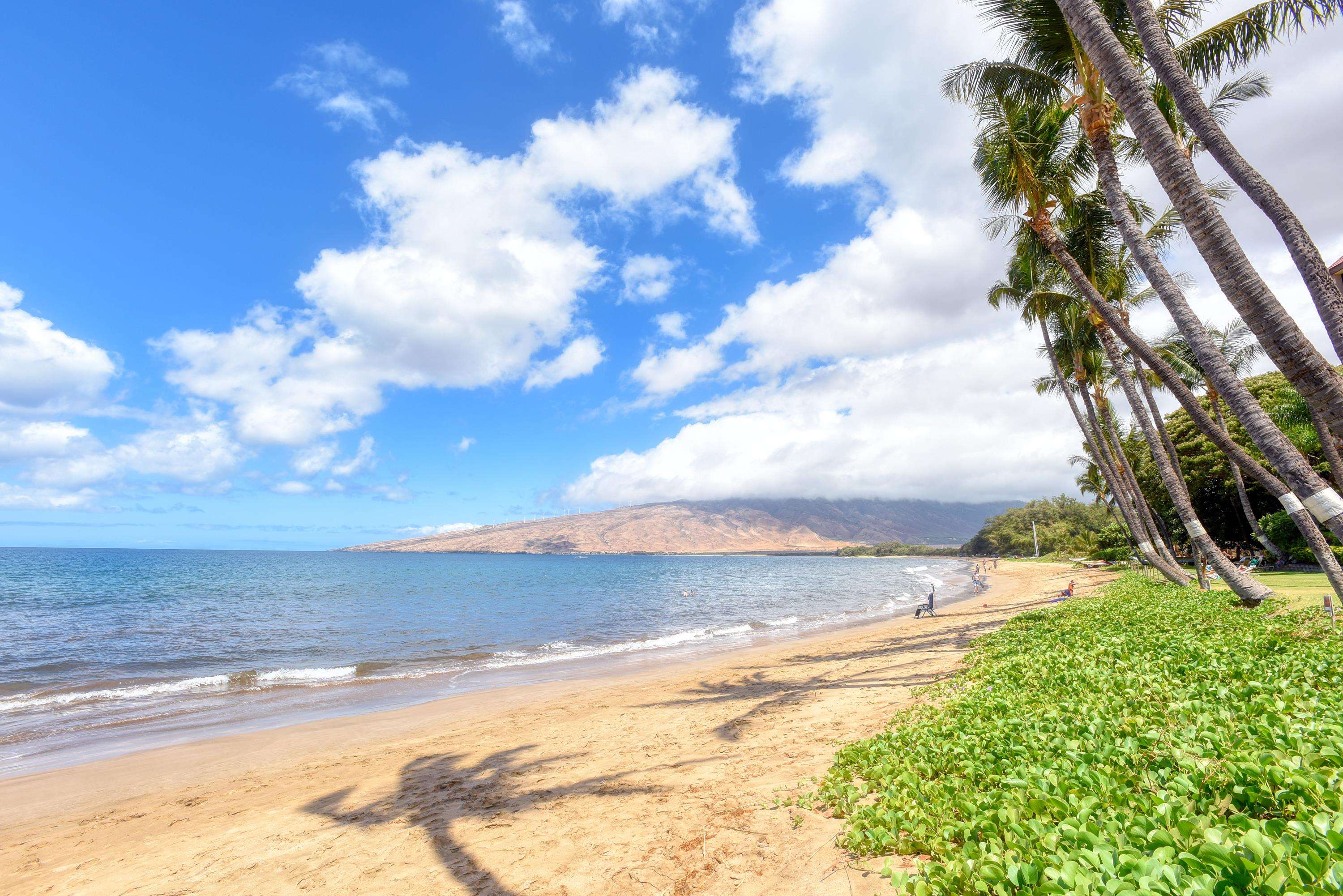 145 N Kihei Rd 203