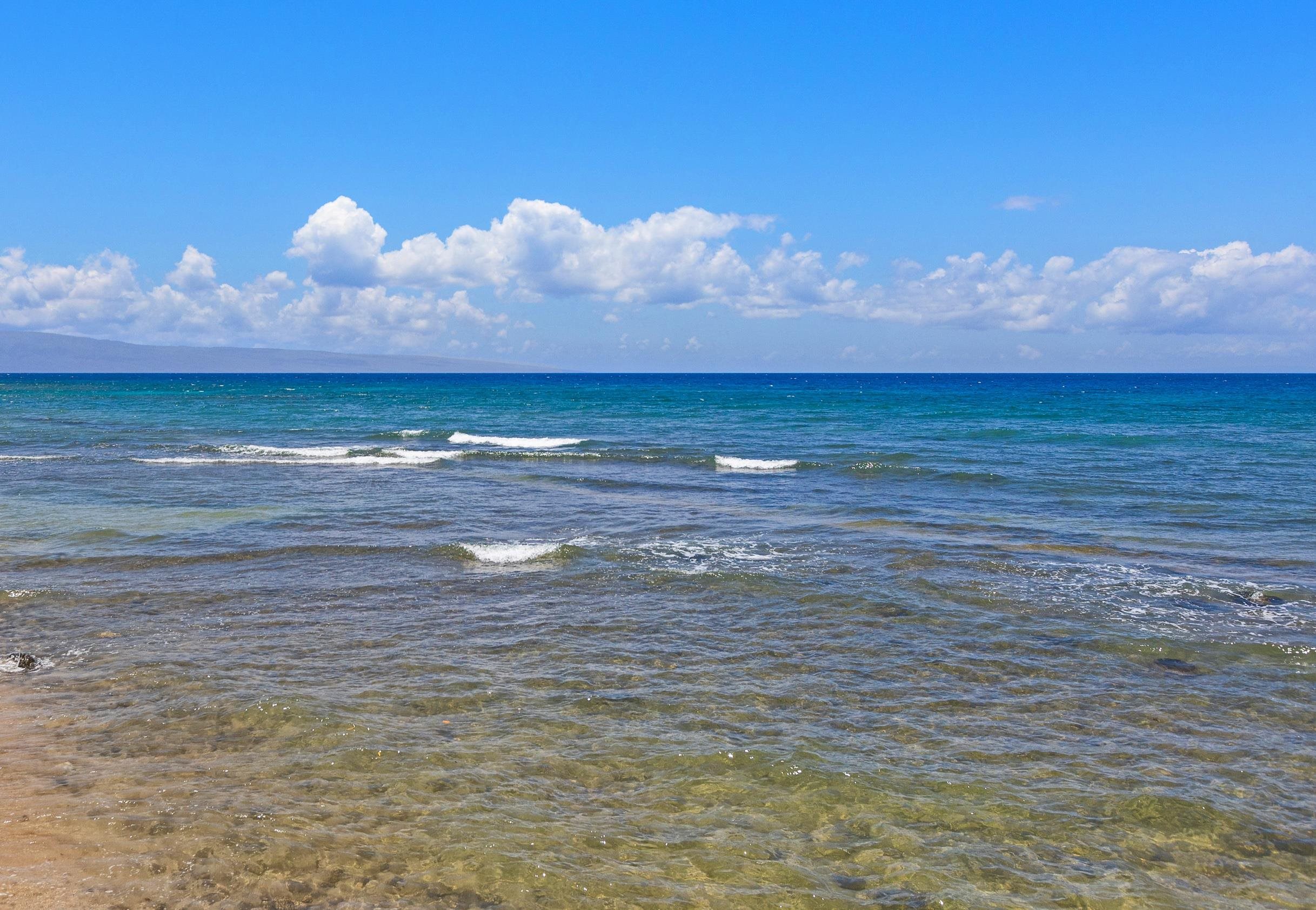 3543 Lower Honoapiilani Rd L104