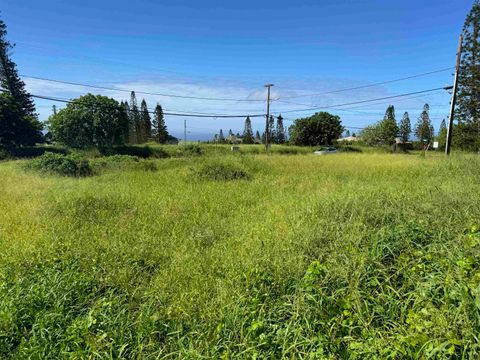 Tiny photo for Puunana St #723, Maunaloa, HI 96770 (MLS # 404969)