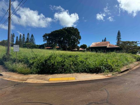 Tiny photo for Puunana St #723, Maunaloa, HI 96770 (MLS # 404969)