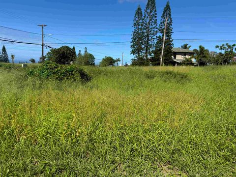 Tiny photo for Puunana St #723, Maunaloa, HI 96770 (MLS # 404969)