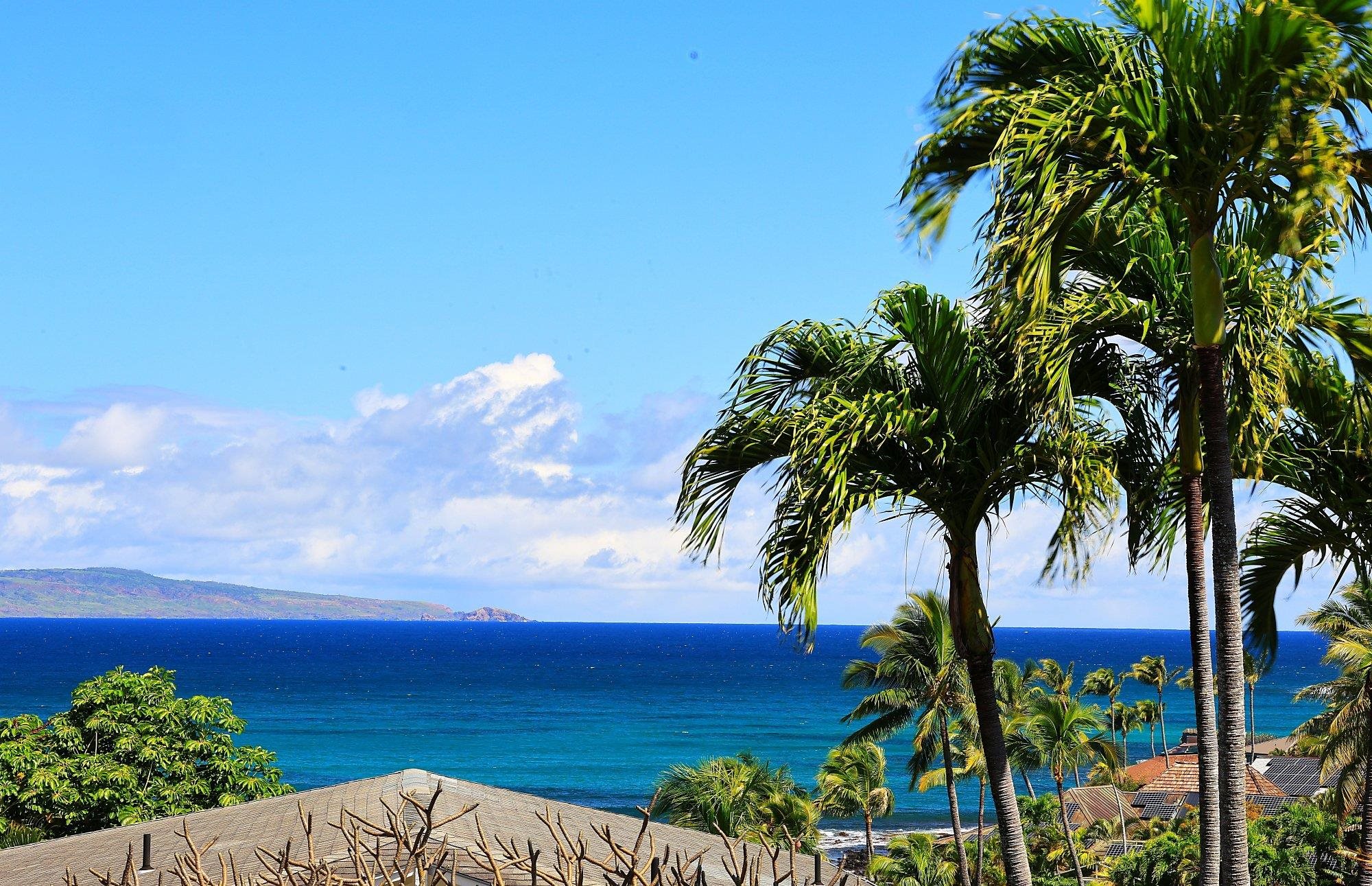 5045 Lower Honoapiilani Rd 2