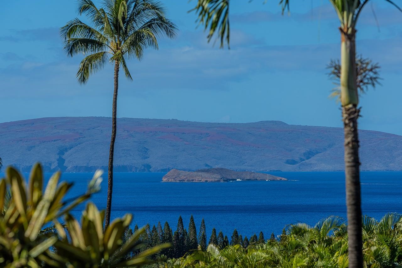 3943 Wailea Ekolu Pl